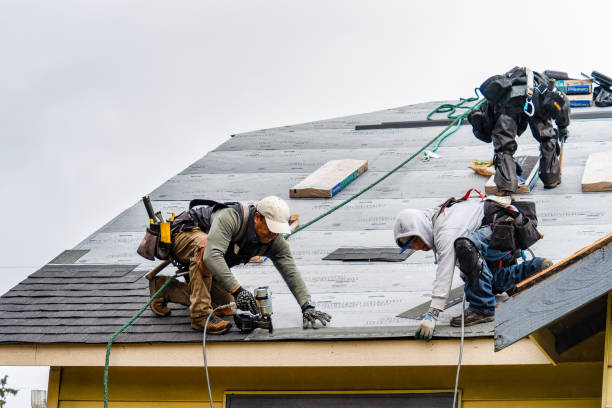 Professional Roof Inspection technician working in Newton Lower Falls, MA